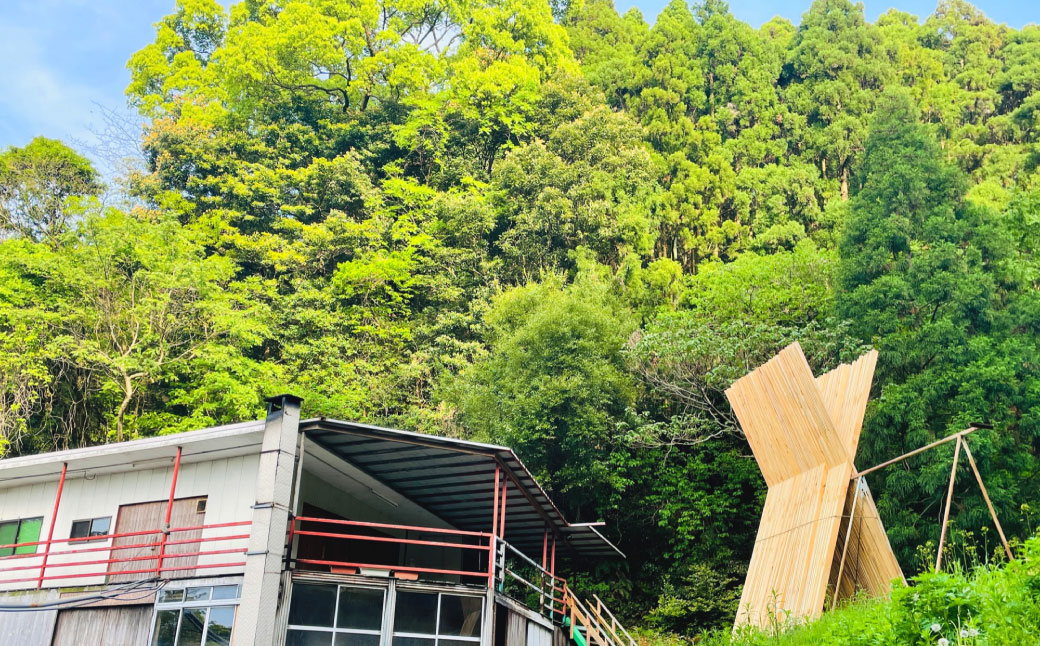 長崎の森で育てた『幻のクエ』 まるごと 一本