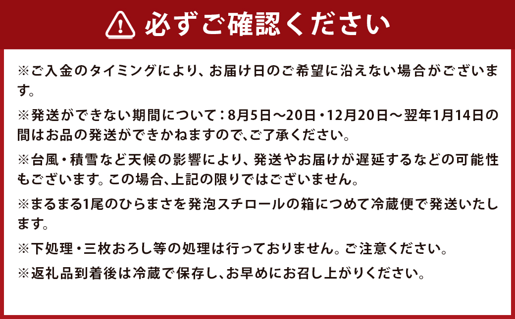 【指定日必須】黄金ひらまさ(養殖ひらまさ・1尾 約4kg～5kg)