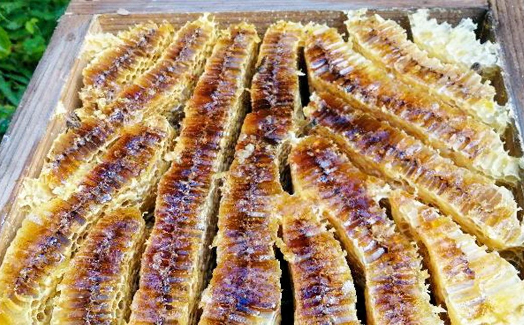 日本蜜蜂百花蜜 はちみつ (200g×1個) ・ 石けん (100g×2個)