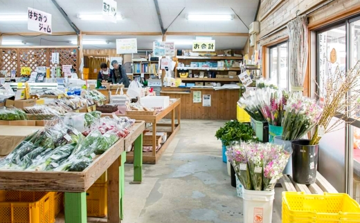 【全3回定期便】 旬野菜 セット 5～10品目