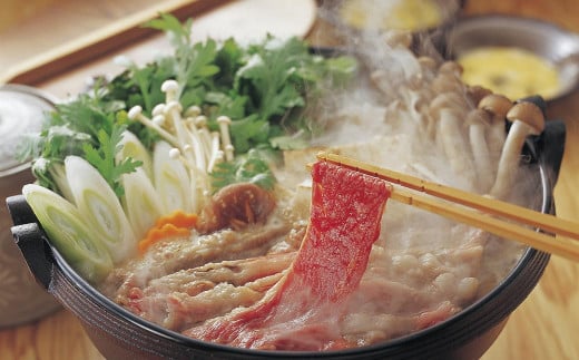 【全2回定期便】長崎和牛 出島ばらいろ レギュラータイプ L