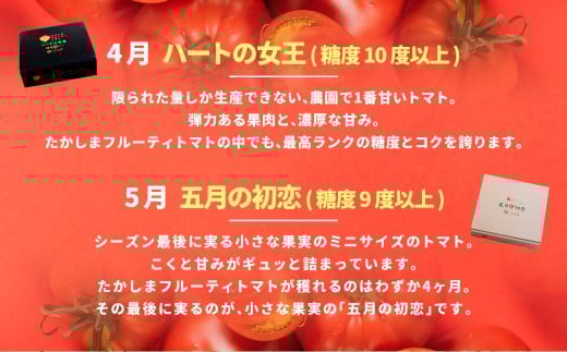 【年4回定期便】たかしまフルーティトマトの贅沢コース