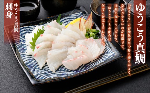 【premiumfishbrand】ゆうこうシマアジ、ゆうこう真鯛