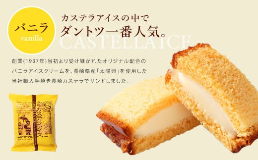 【全6回定期便】長崎カステラアイス (バニラ)
