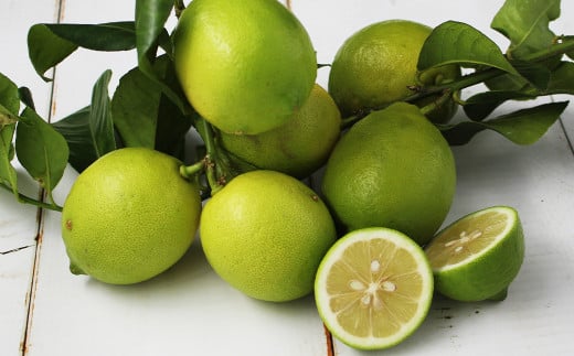 希少部位！国産の若鶏ロース肉のからあげ 約1kg