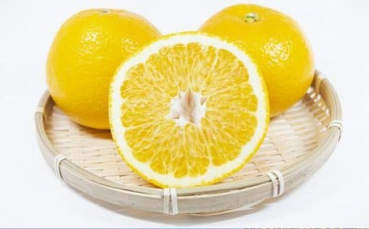 【訳あり】長崎県産 八朔・紅八朔 約10kg