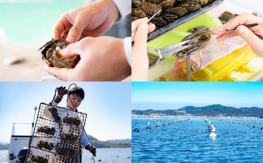 アコヤ真珠8.5-9.0mm お数珠(お念珠)【★★☆☆☆】