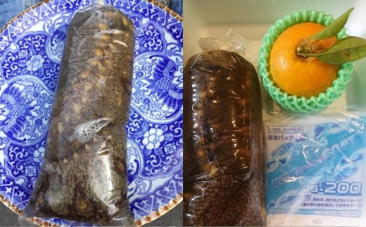 長崎県産 大村湾 活ナマコ 約1kg