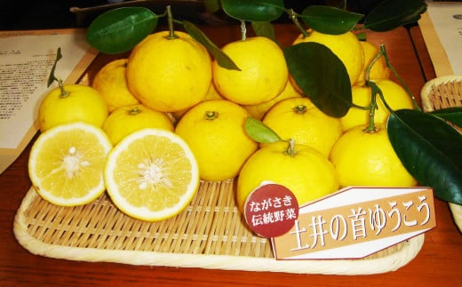 長崎薬味ゆうこう胡椒 (50g) 10ヶ