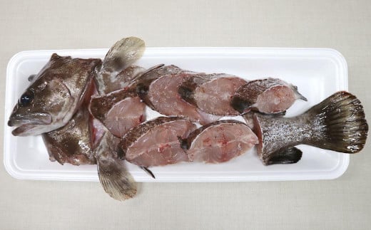 長崎の森で育てた『幻のクエ』 【セット】刺身用 5～6人前、鍋用 5～6人前（1kg～2kg前後×2）／ 計2kg～4kg前後 海鮮 魚介 高級魚 刺身 鍋 セット クエ 養殖 長崎県 長崎市