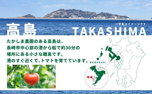【年2回定期便】たかしまフルーティトマト＆野菜トマトのお手軽コース