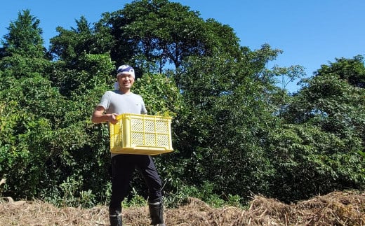 最高級 よもぎ蒸し ブレンドハーブ 3袋 セット