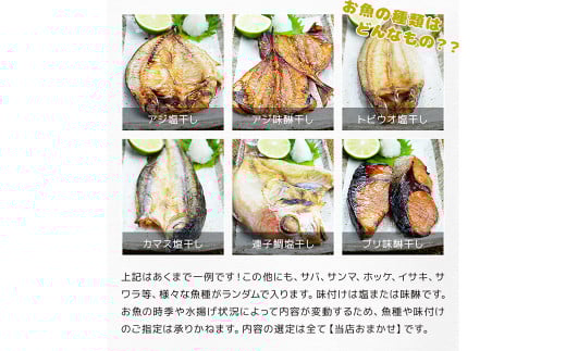 【全12回定期便】長崎加工 訳ありおまかせ干物 4種類とカラスミ詰め合わせ