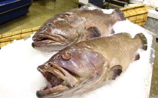 九絵 (クエ) のしゃぶしゃぶと鍋セット (3～4人前)