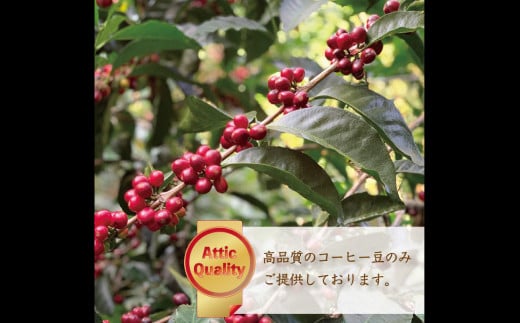 カフェオレベース12本セット (720ml×12本)