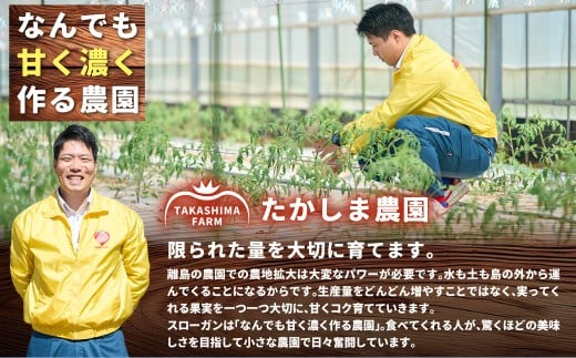 訳あり 糖度6度以上 かもめのトマト約3kg箱