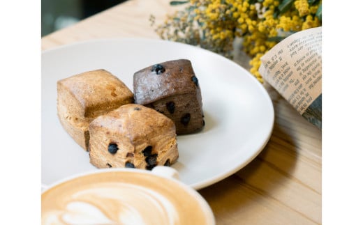 スコーン ギフトBOX 5個入り