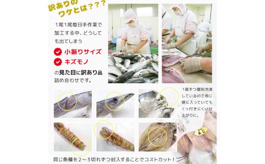 【全6回定期便】長崎加工 訳ありおまかせ干物とカラスミ詰め合わせ