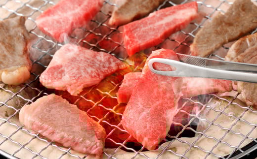 【全3回定期便】長崎和牛 出島ばらいろ 特選焼肉 セット