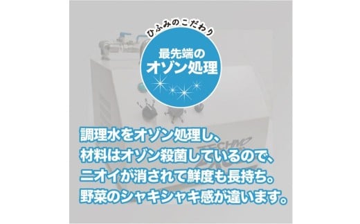 《具材付》長崎冷凍皿うどん ( 10食 ) ／ 長崎皿うどん 長崎 皿うどん さらうどん 麺 麺類 スープ 具付き 具材付き 小分け 簡単調理 グルメ 冷凍 ひふみ 長崎市