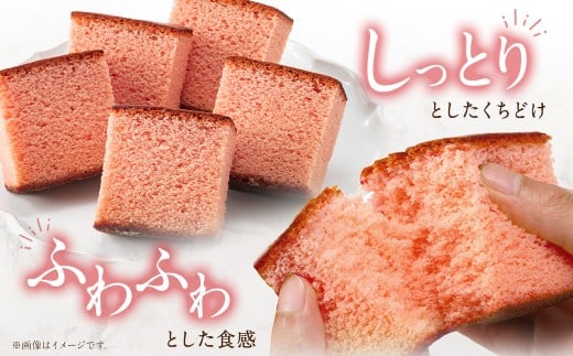 長崎カステラ いちごハーフ 0.3号 10本