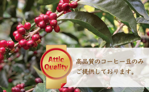 カフェオレベース＆テトラ セット