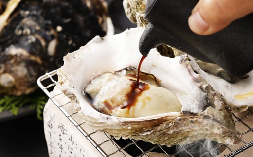 戸石町産 岩牡蠣 計約3kg（生食用／カキナイフ付き）