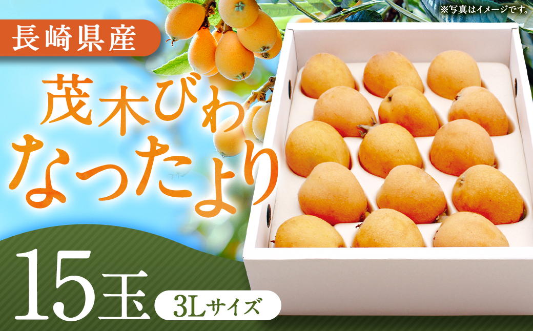 茂木 びわ 『なつたより』 3Lサイズ 15玉 入り