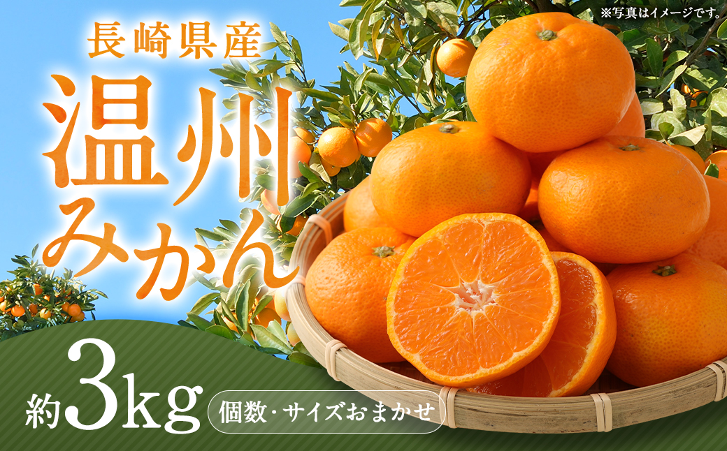 長崎県産 温州みかん 3kg ( 個数・サイズ おまかせ )