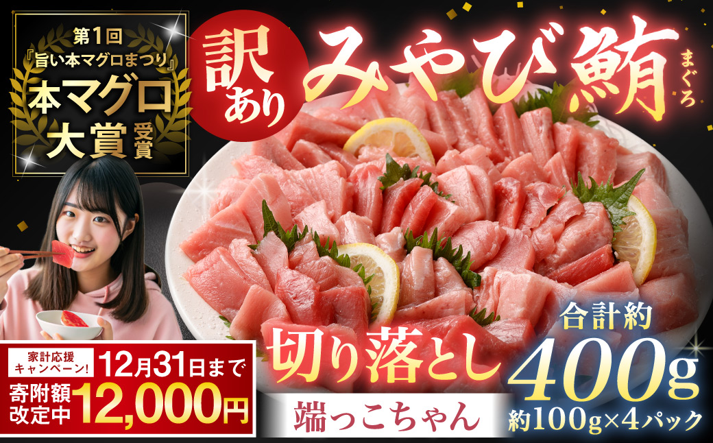 【訳あり】みやび鮪 切り落とし 端っこちゃん 計約400g