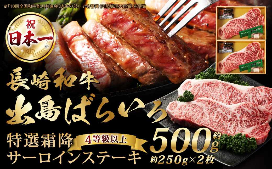 長崎和牛 出島ばらいろ特選霜降 サーロインステーキ500g