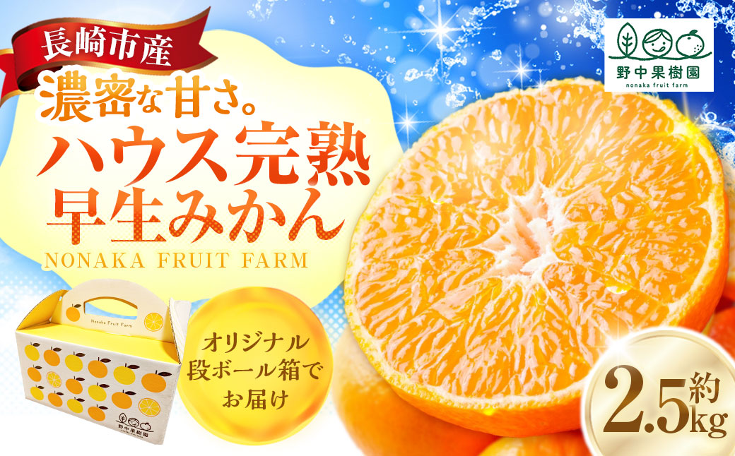 先行予約 ハウス完熟早生みかん お試し 約2.5kg箱