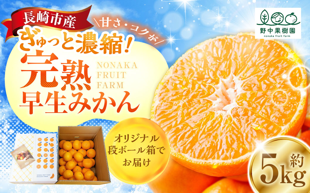 先行受付 完熟 早生みかん 約5kg箱