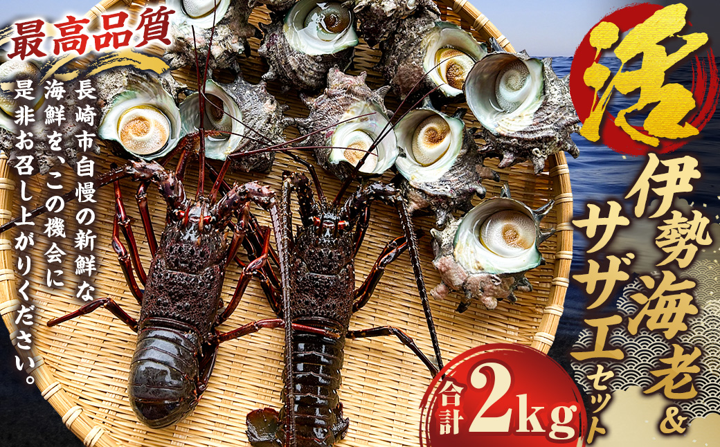 活伊勢海老（イセエビ）0.5kg・活サザエ1.5kg