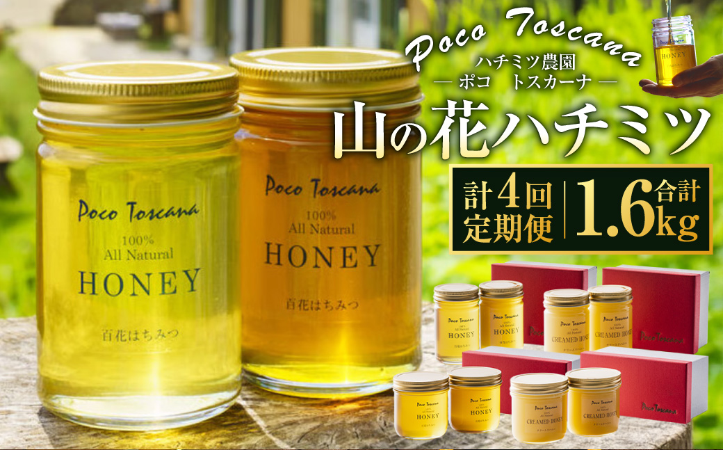 【年4回定期便】山の花 ハチミツ 計1.6kg (200g瓶×2本セット×4回)