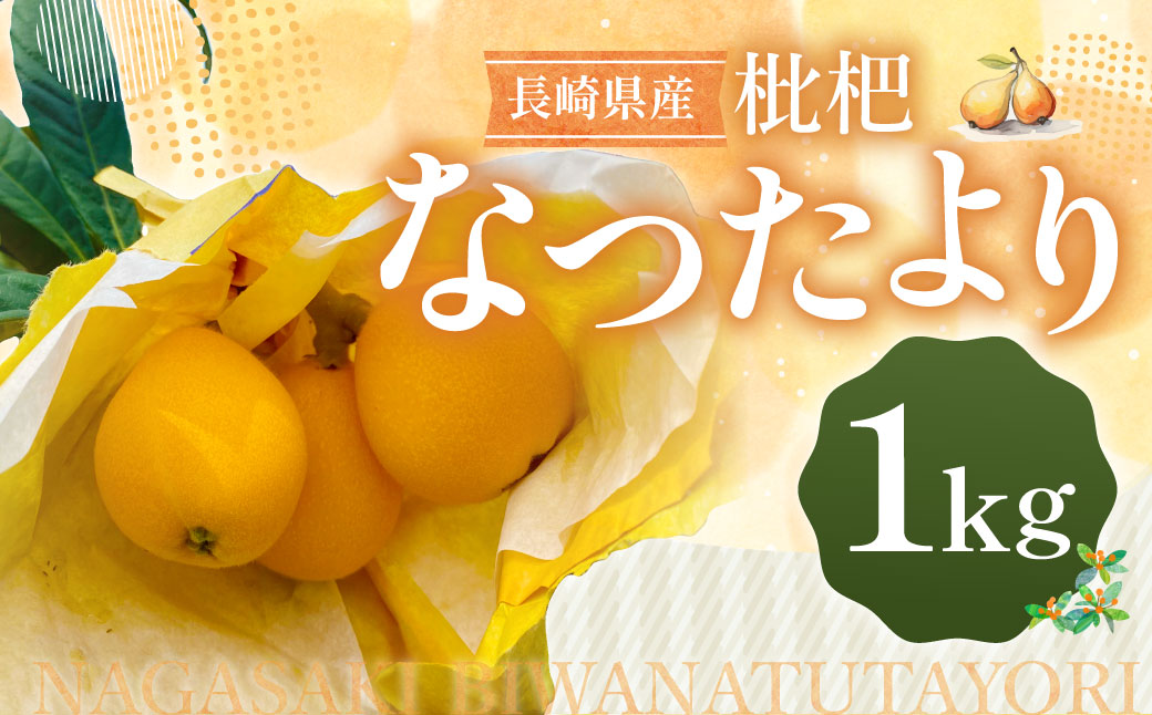 枇杷「なつたより」1kg ／ 果物 くだもの フルーツ ビワ びわ 長崎県 長崎市