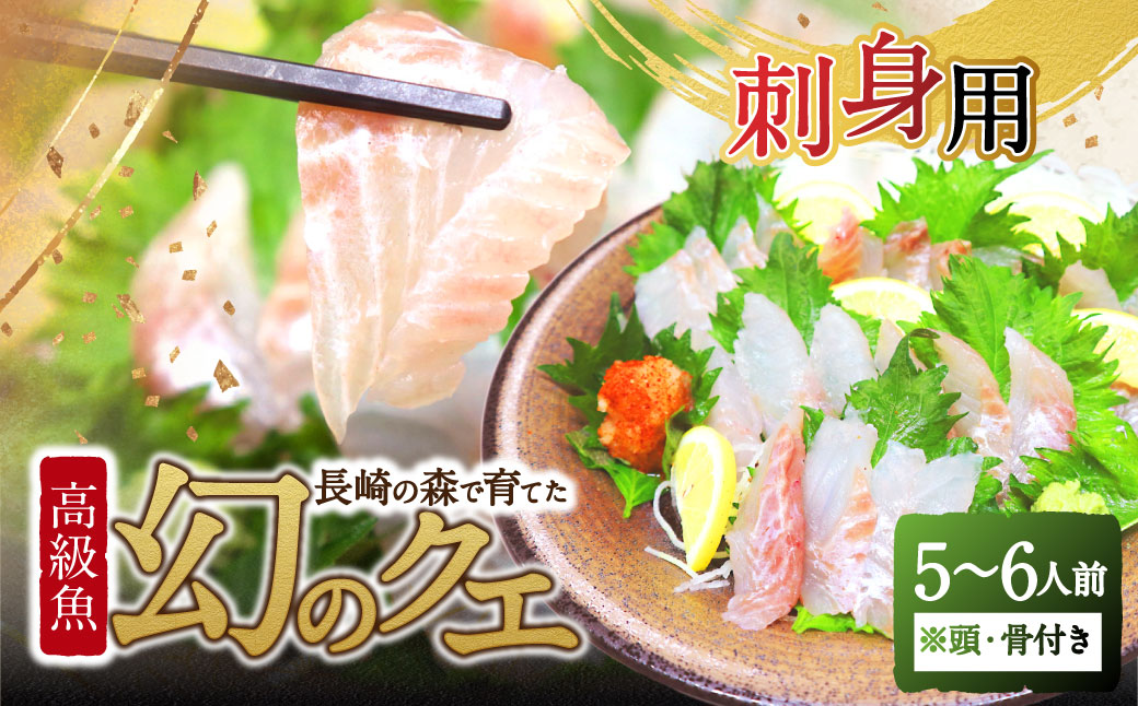 長崎の森で育てた『幻のクエ』 刺身用 5～6人前