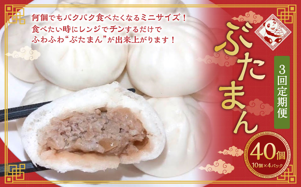 【全3回定期便】長崎ぶたまん 40個 (40個×3回) 合計120個