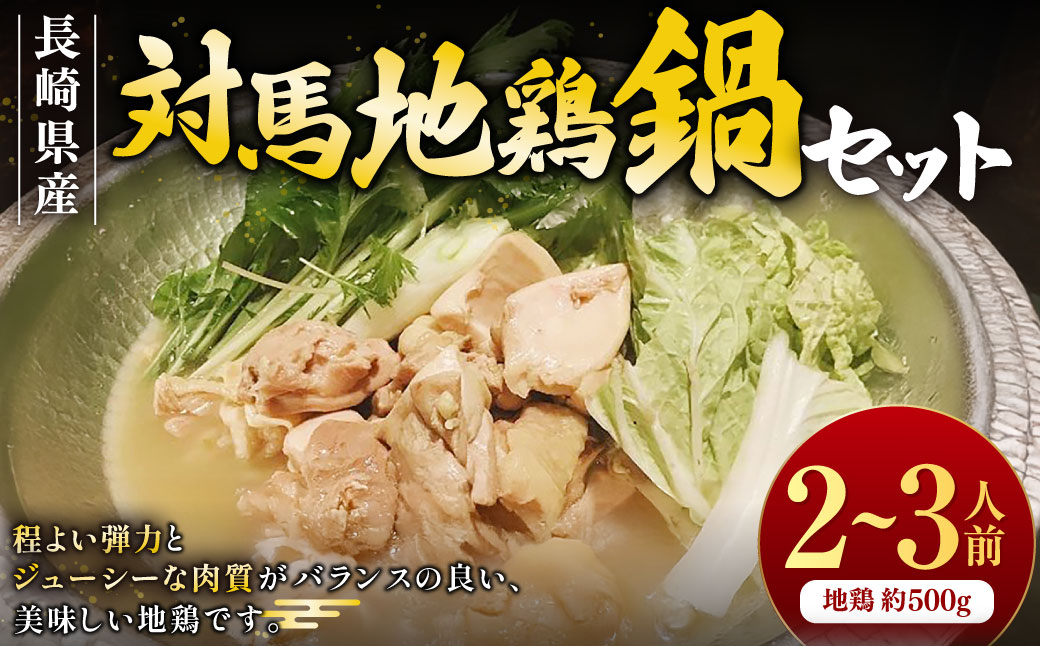 長崎県産 対馬地鶏 鍋セット（2～3人前）