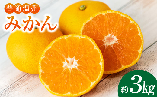 温州みかん 約3kg