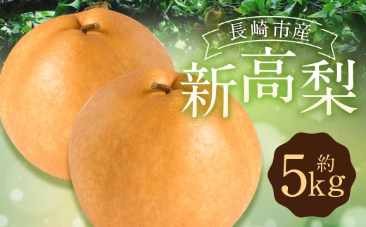 新高梨 5kg