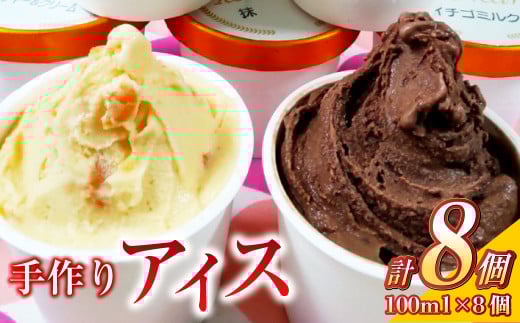 手作りアイス 8個セット