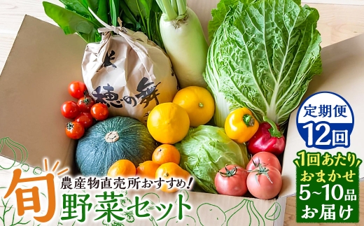 【全12回定期便】 農産物直売所おすすめ！ 旬野菜 セット 5～10品目