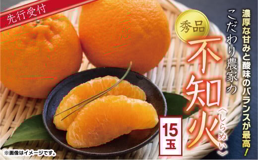 こだわり農家の秀品不知火 15玉(大玉)