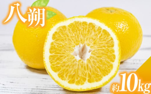 八朔（はっさく） 約10kg