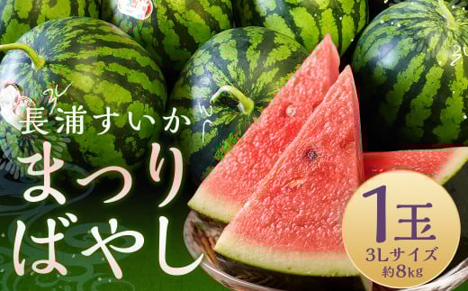 長浦すいか 「まつりばやし」 1玉 3Lサイズ 8kg以上