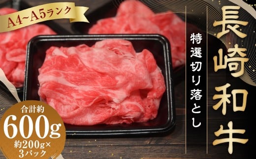【A4～A5ランク】長崎和牛 特選切り落とし 約600g