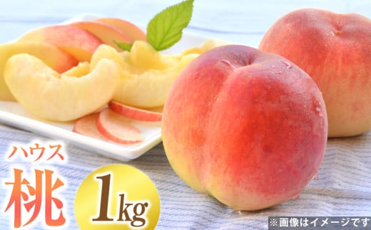 ハウスもも 約1kg（品種おまかせ）旬の桃