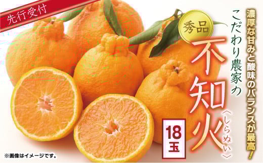 こだわり農家の秀品不知火 18玉