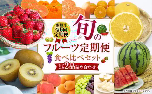 年6回定期便 旬のフルーツ定期便 食べ比べセット